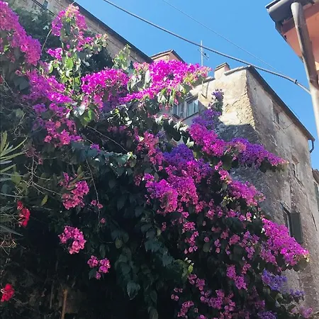 La Casa Nei Carobi