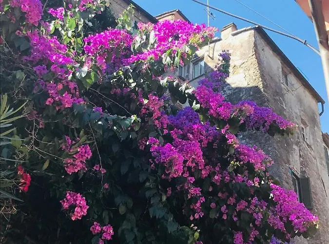 La Casa Nei Carobi